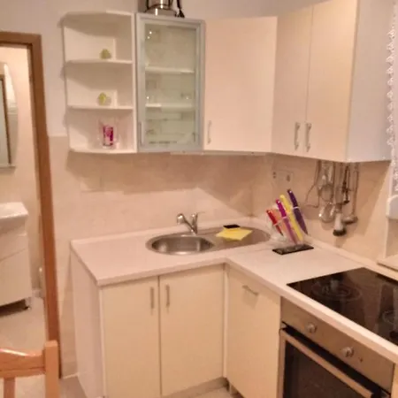 Elena * 트로기르