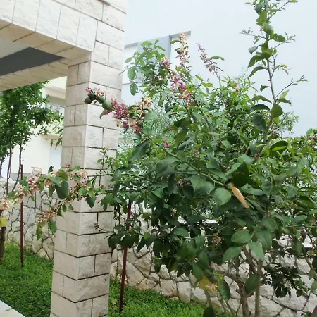 Elena * تروغير